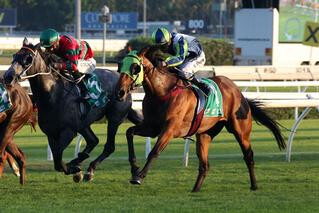 Luvaluva (NZ) scores by a neck in the Group 3 TAB Adrian Knox Stakes.